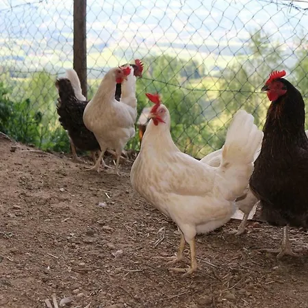 Farm stay Lindlhof Fam. Taferner Sankt Andra (Wolfsberg)